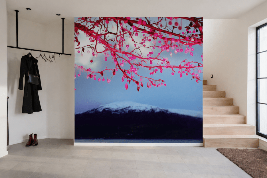 Frosted Berry Delight