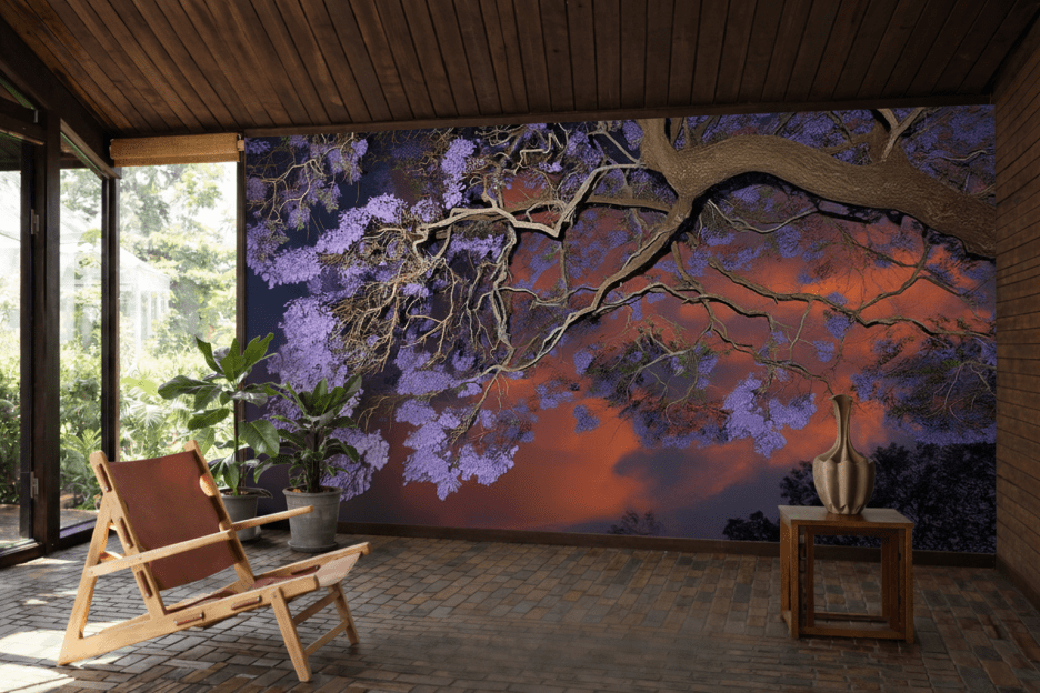 Jacaranda Mirage
