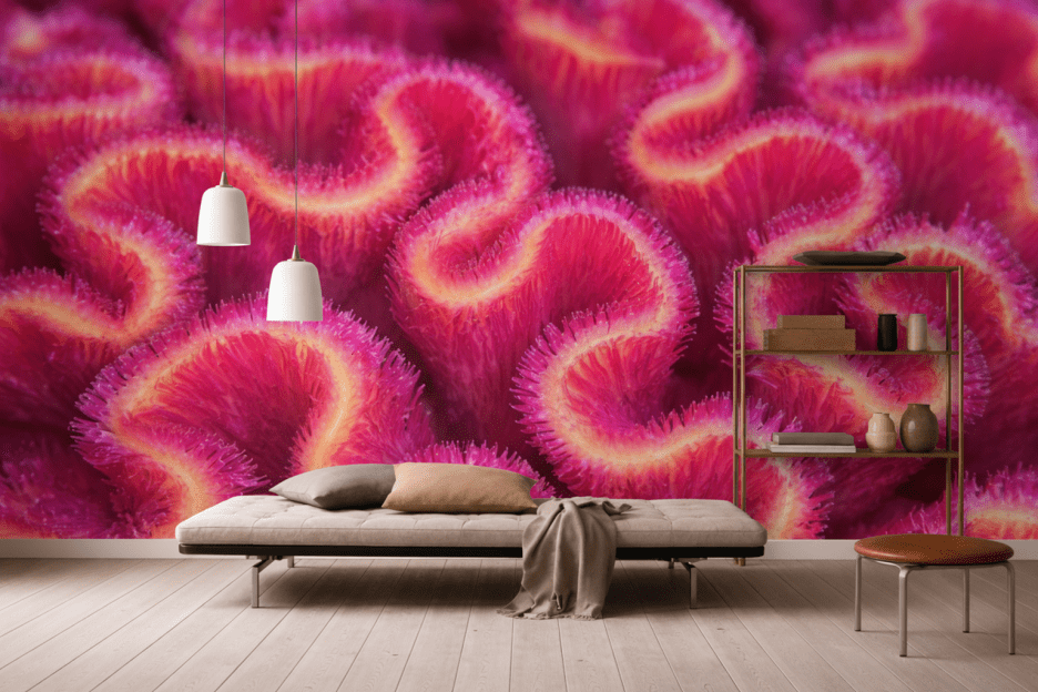 Coral Labyrinth