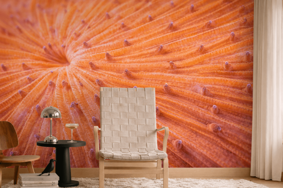 Oceanic Sunrise Burst