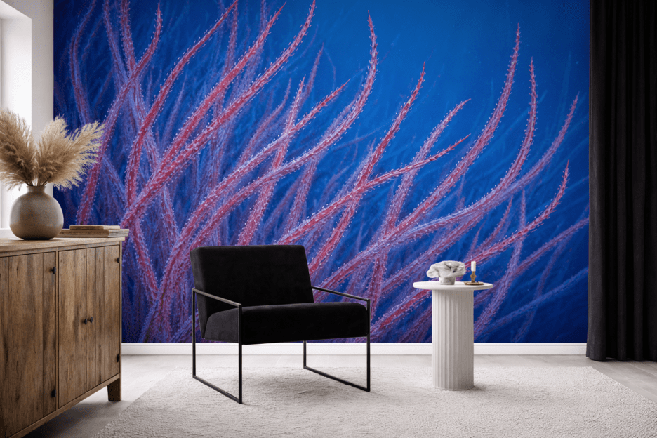 Coral Garden