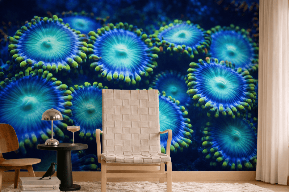 Coral Kaleidoscope