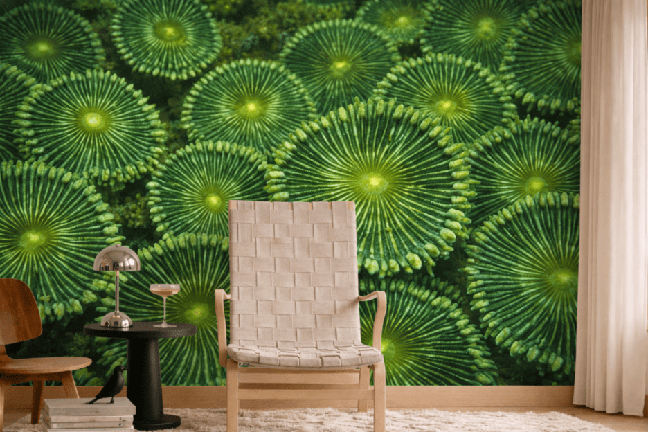 Foliage Mirage