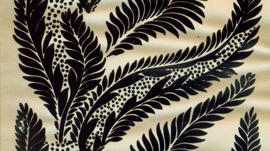 Silhouette Fronds