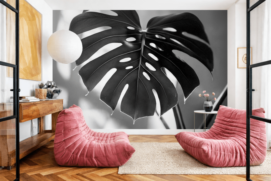 Monstera Shadow
