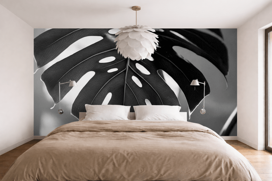 Monstera Shadow