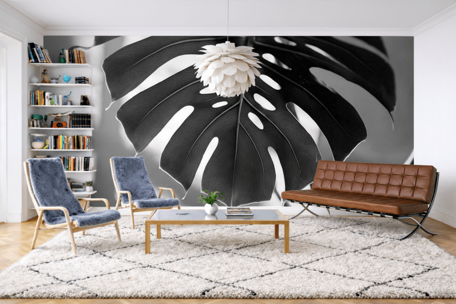 Monstera Shadow