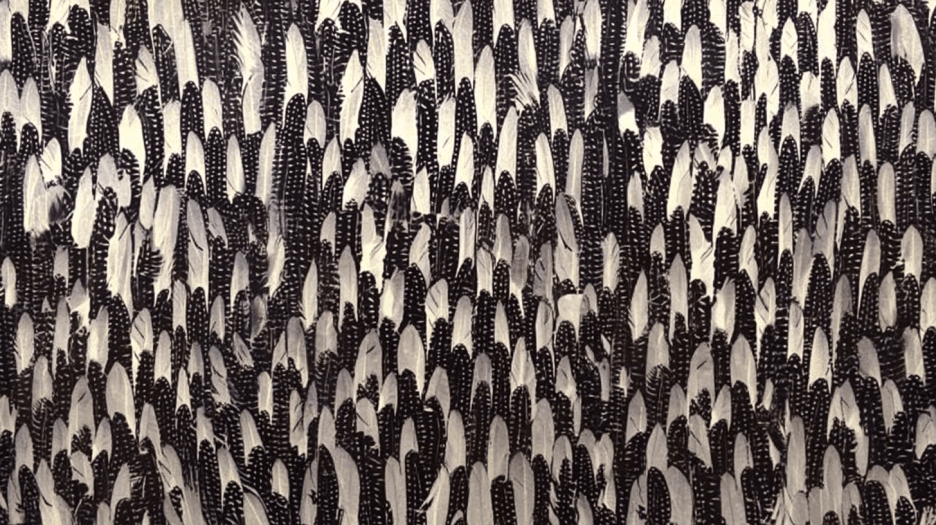 Feathered Ink Stratum