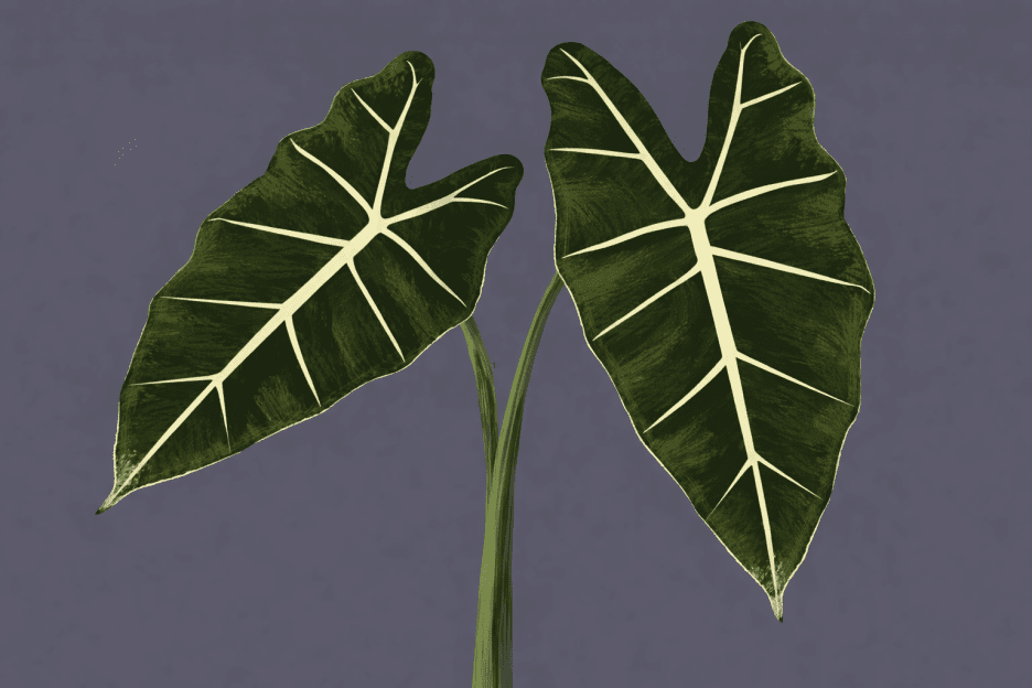 Verdant Silhouette