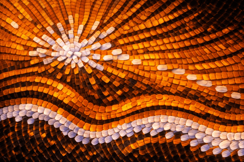 Uploaded
wallpaper