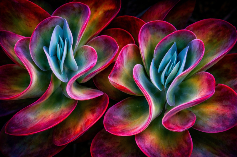 Uploaded
wallpaper