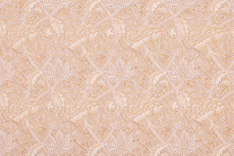 Uploaded
wallpaper