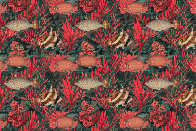 Uploaded
wallpaper