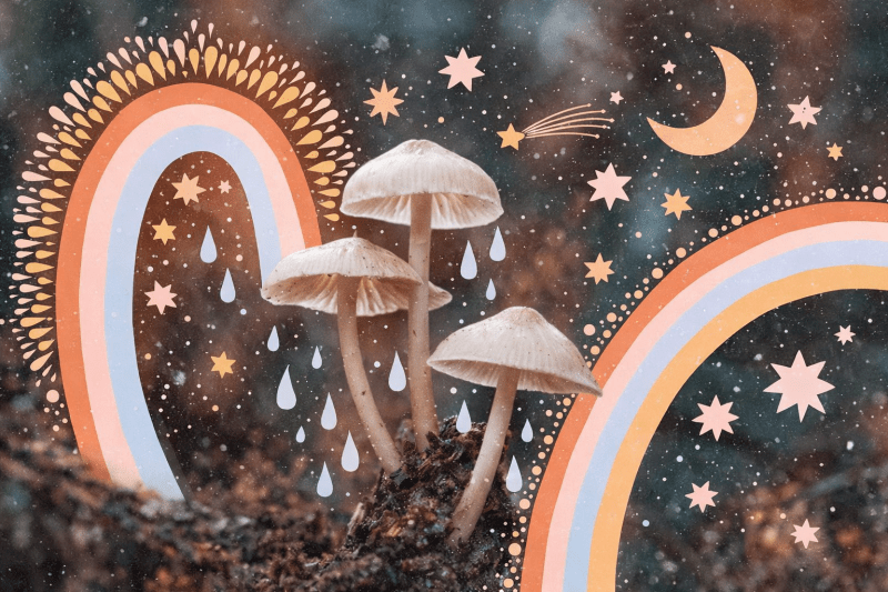 Uploaded
wallpaper