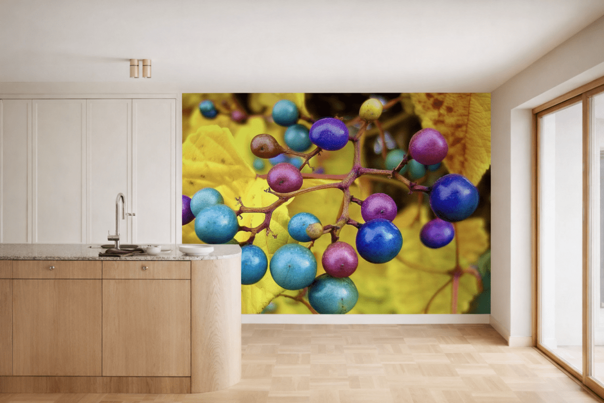 Vibrant Harvest Cluster