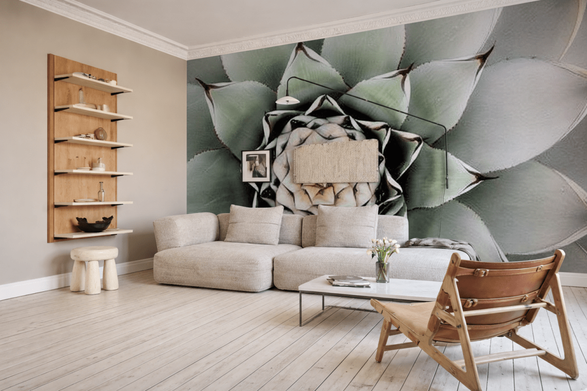 Agave Spiral