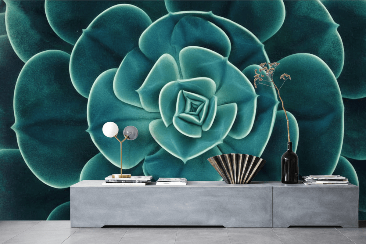 Succulent Echo