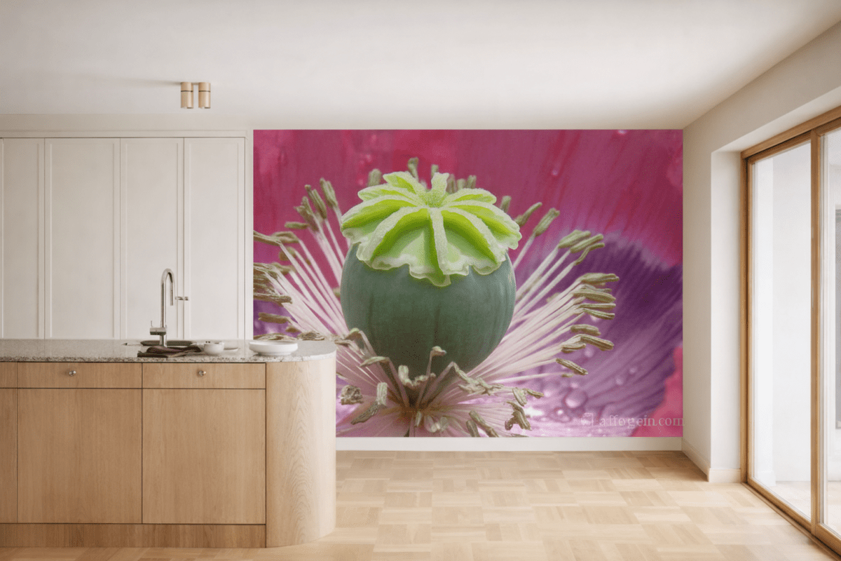 Botanical Echo