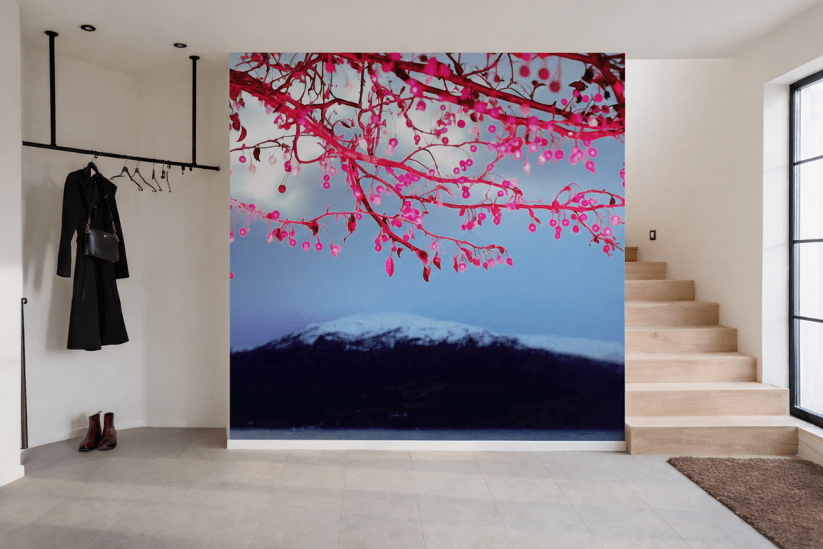 Frosted Berry Delight