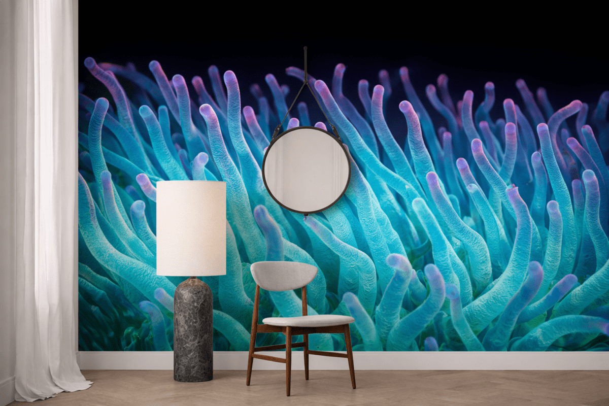 Coral Reefs Tundra