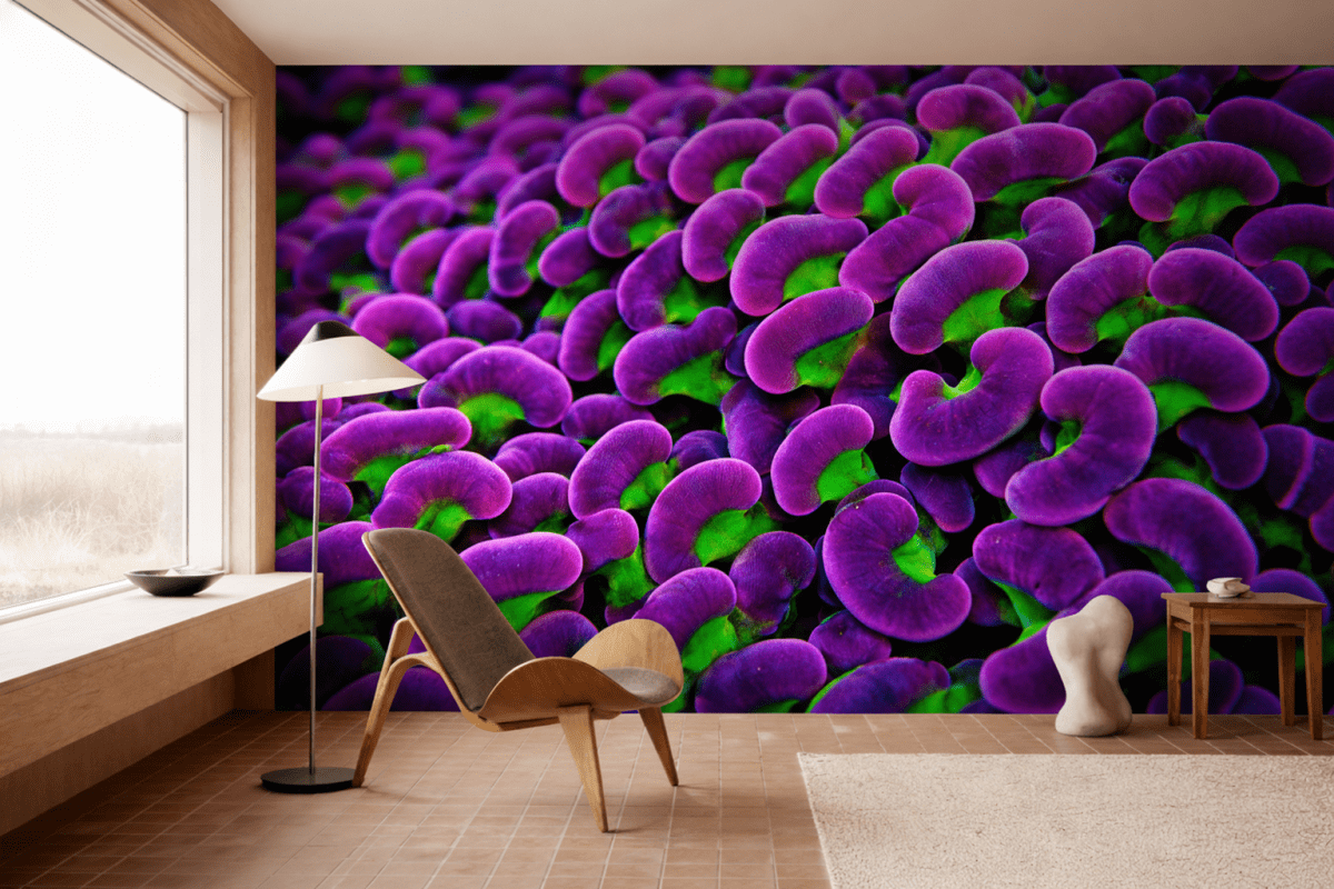 Emerald Cushion