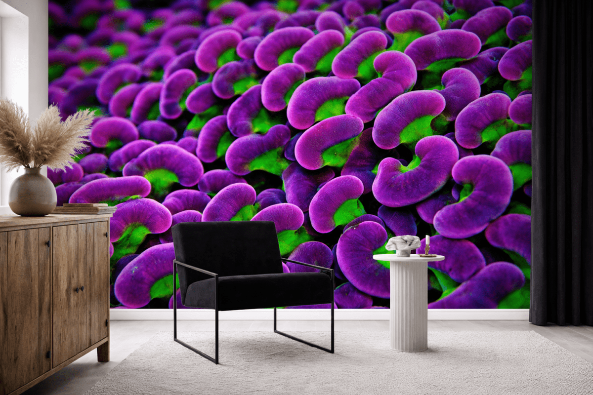 Emerald Cushion