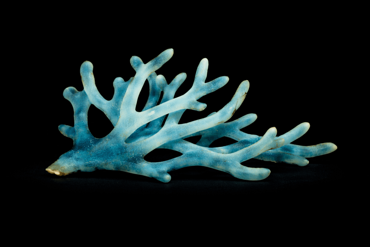 Aqueous Reef