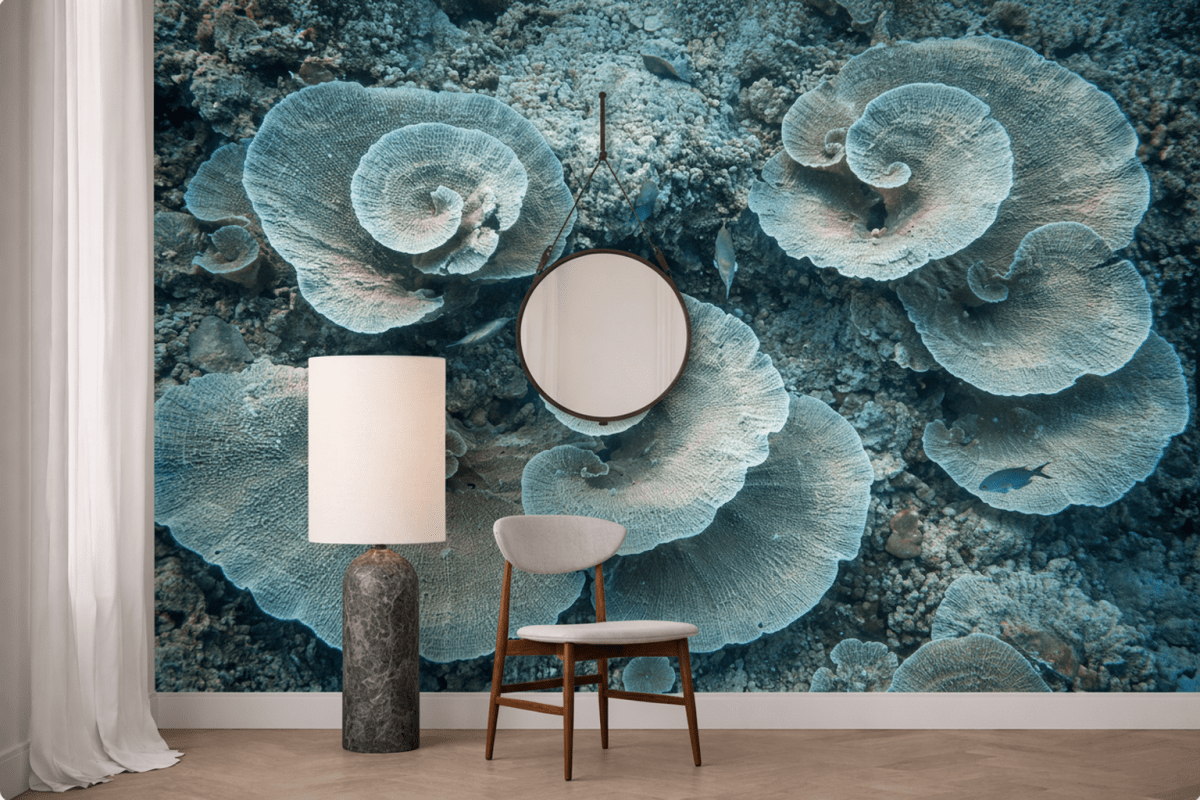 Whirlpool Reverie