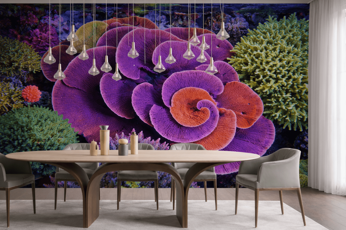 Spiral Reef Dance