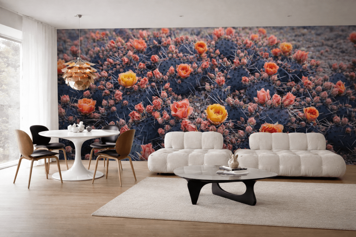 Cactus Blossom Oasis