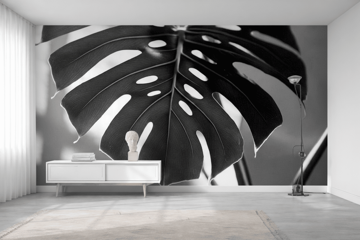 Monstera Shadow
