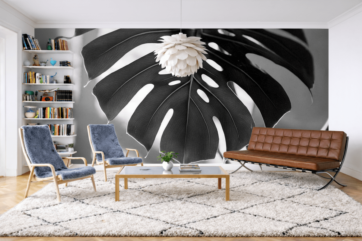 Monstera Shadow
