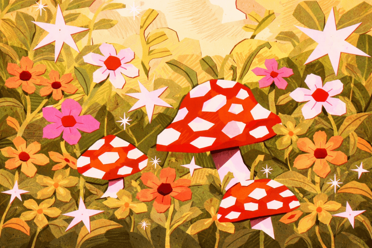 Mushroom Garden