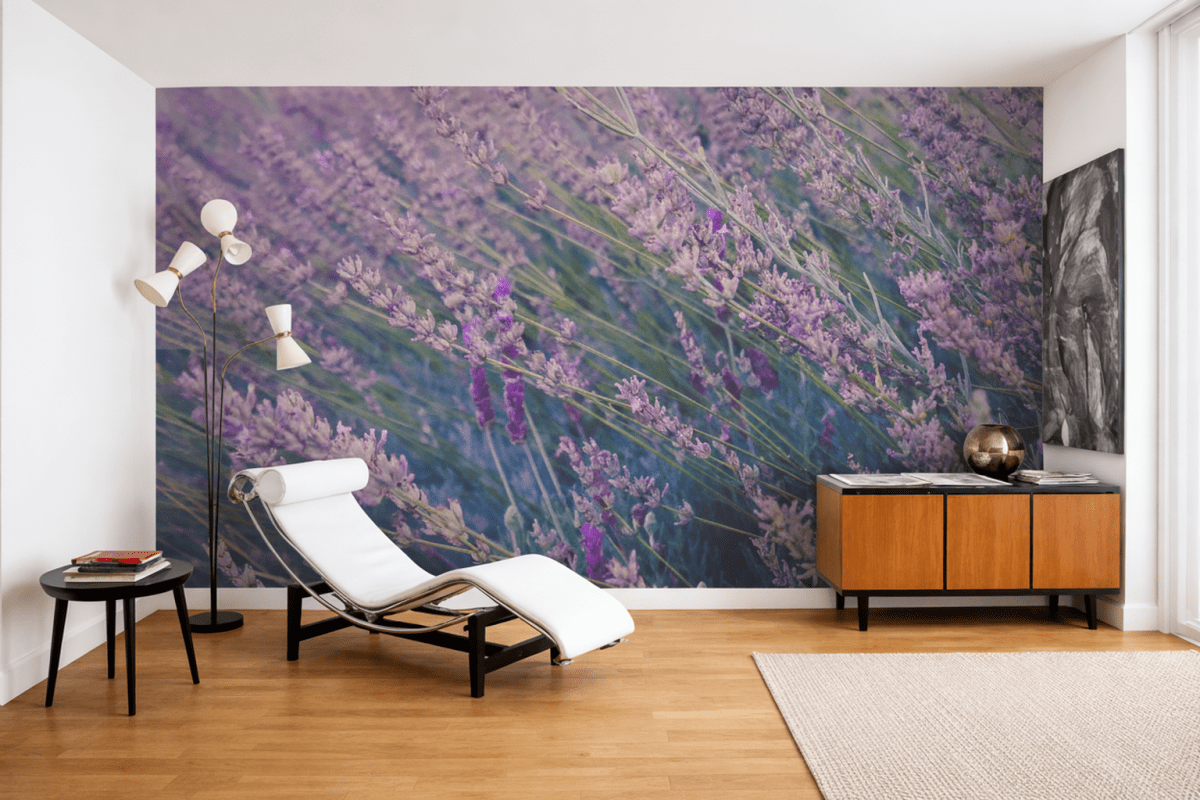 Lavender Fields