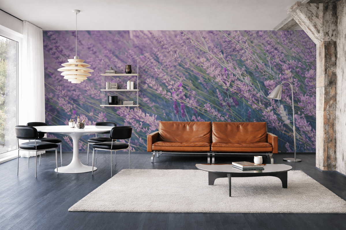 Lavender Fields
