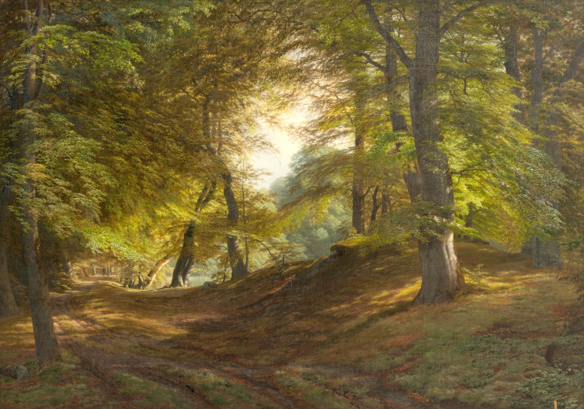 Luminous Canopy